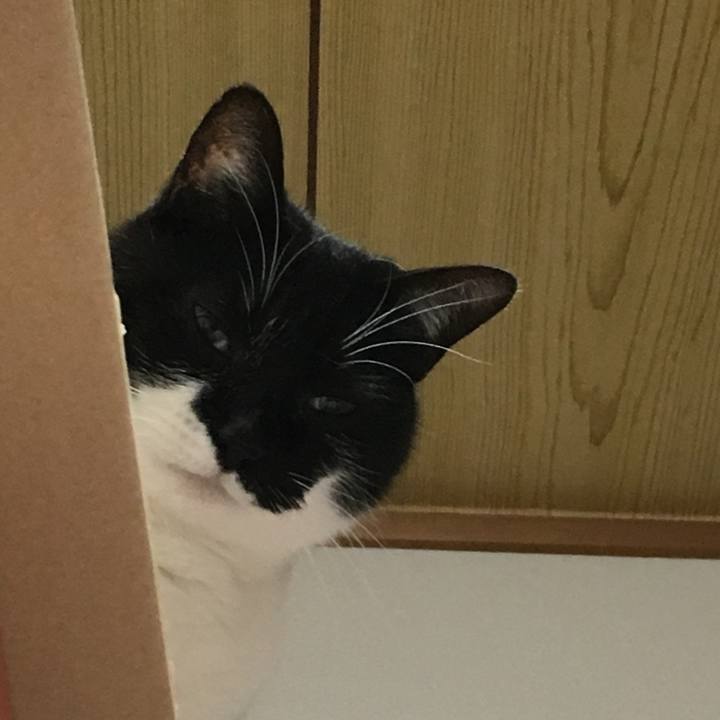 30fc4605 3009 4d36 8b96 2a45a24da508 1525873817060