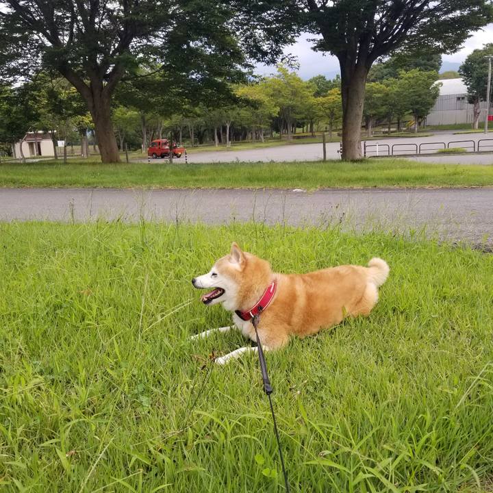 30fc4785 00fe 4cdf 88c6 558f38cda595 1726214785022