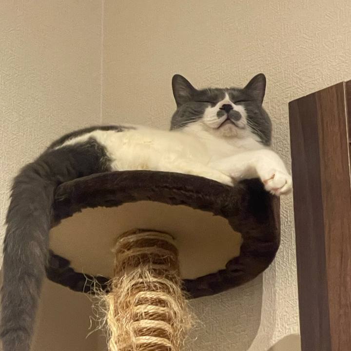 30fc7dee fa46 4168 b666 3820e9a0ee7e 1747229508754