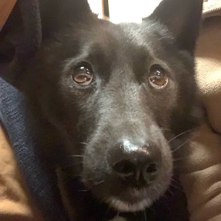 30fc9fdc dda9 45ea 8ef2 2ac364dd8291 1551874903764