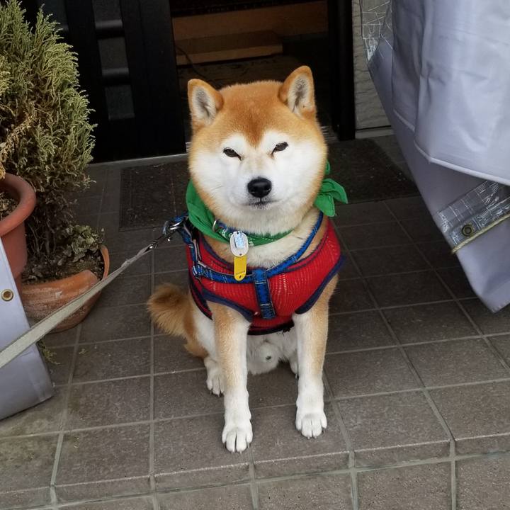 30fcd6e2 876a 47ea b25f 7227ff04bdd2 1553813372408