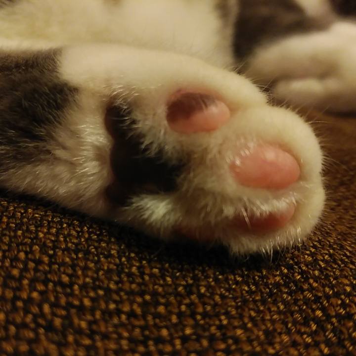 30fcfed1 f2af 492f bfac 09358ea9d1af 1578666171079