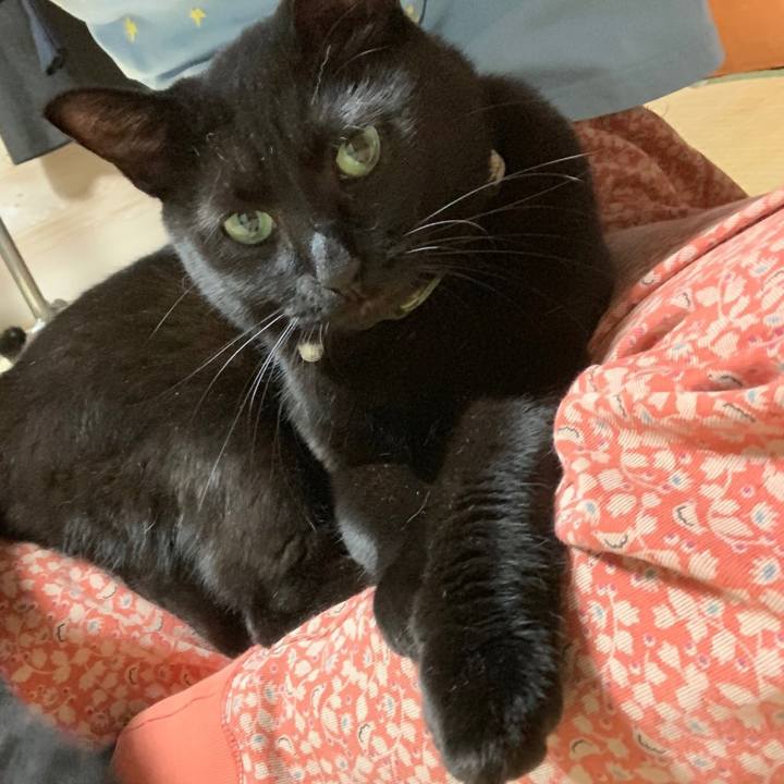 30fd2f8f ba2a 42af a0e1 5dcbfe624ed9 1570419931678