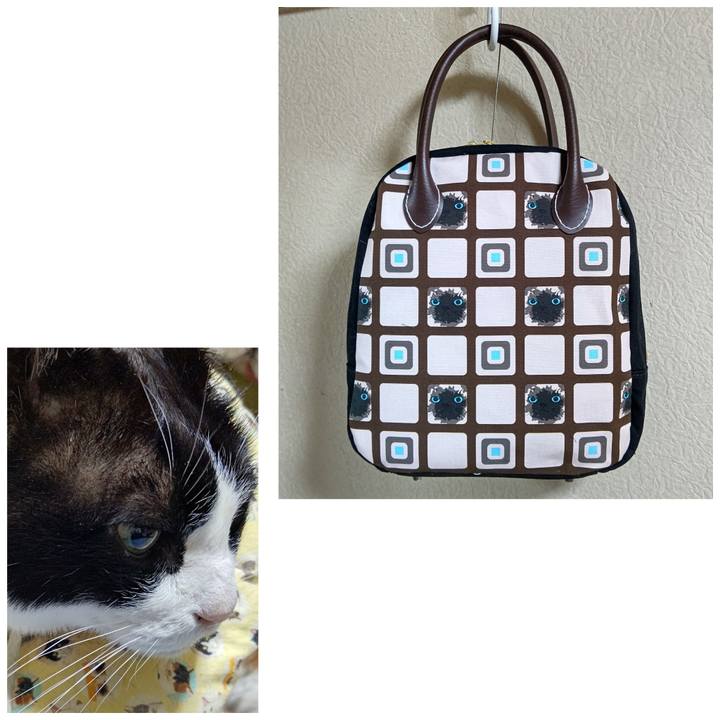 30fd41f9 b848 42dd 997e 31a6442a79af 1647610058359