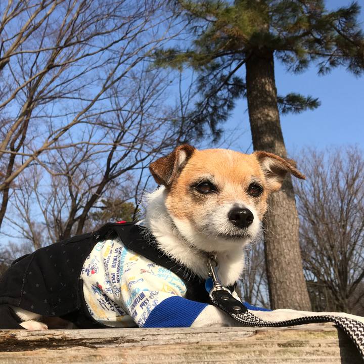 30fd5c17 0c5f 499e 80c3 8aed2c74f31d 1581933615396