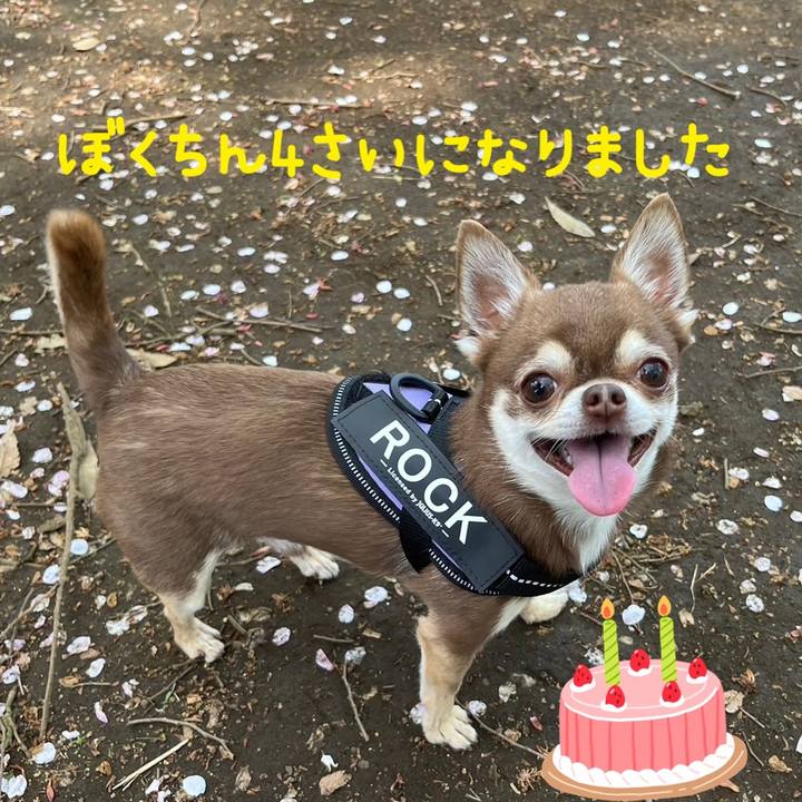 30fd6d33 bd71 47cf 8d23 4ea072fee84c 1713155230040