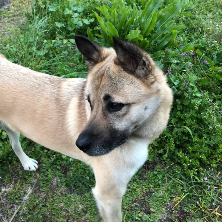 30fdc2d1 cdda 4219 a026 29546971d001 1552564517252