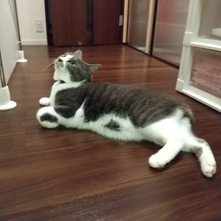 30fdd89a 2287 43ac b246 966557f0d193 1607429712311