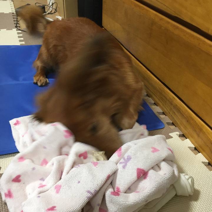 30fe0272 a41a 4822 a60c f893b2848d71 1570543335601