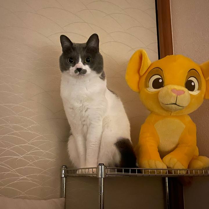 30fe36a3 2200 40d2 8daa d3647ebeb4c6 1676822127682