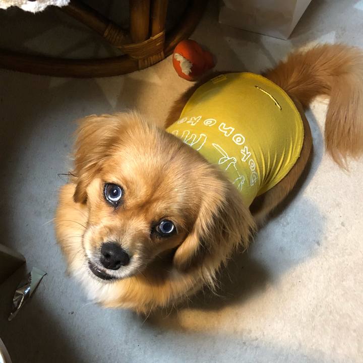 30fe7cf7 1722 4acb 9dd0 14b748bbd910 1518473522155