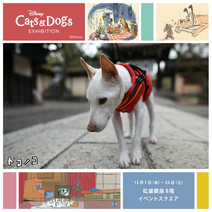 30feb069 70ae 4d11 801a c5364651cd94 1638324107665