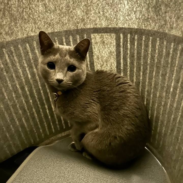 30fed0f4 6658 43bc a568 e01119414196 1677834130836