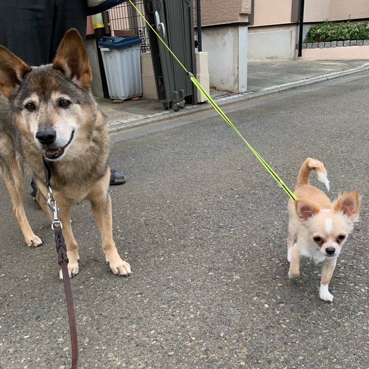 30feda4a 9c8e 4430 84ff 8adf10f7fdea 1560762959422