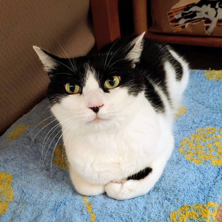 30ff4ae0 1bab 497e 8e9a 366e25e82889 1773184489388