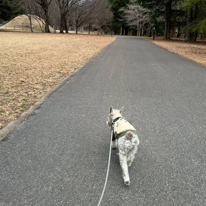 30ff6a41 2dfd 4812 8fb8 233f54e6975d 1772802166118