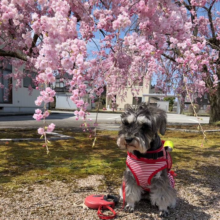 30ff6f64 ff67 4fd5 bbf3 ac5e386dd2a2 1586618762892