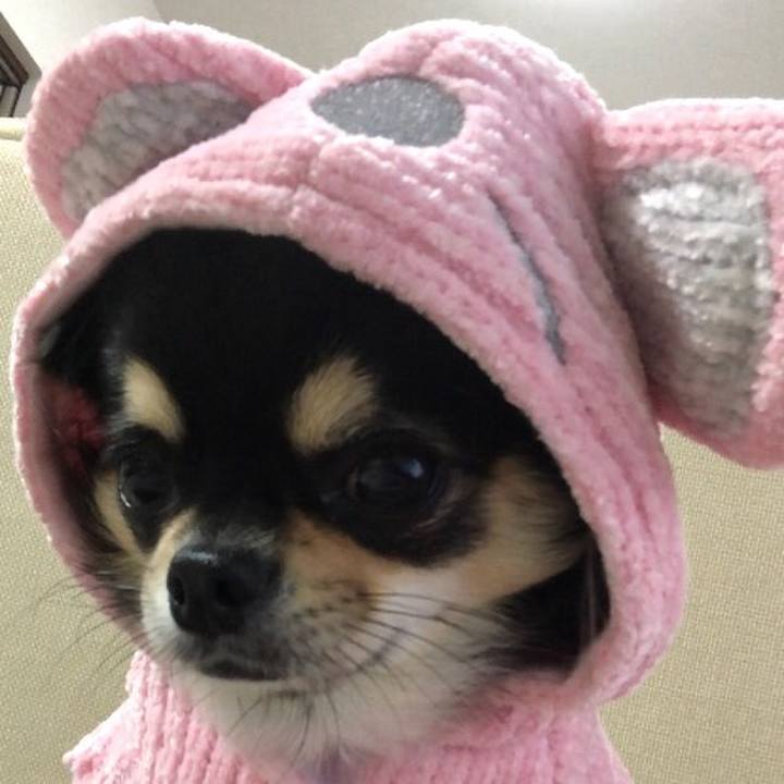 30ff8475 6080 404f 97dd 4aeff19ac208 1575269943799