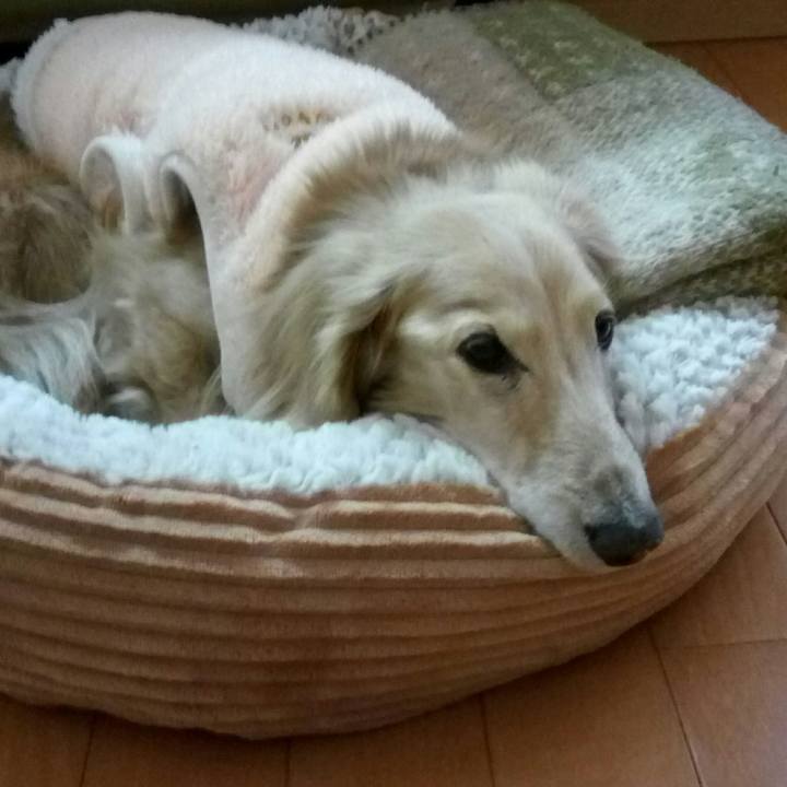 30ffbab8 ff6b 4f41 a7f1 92bc3e0426f0 1551318880337