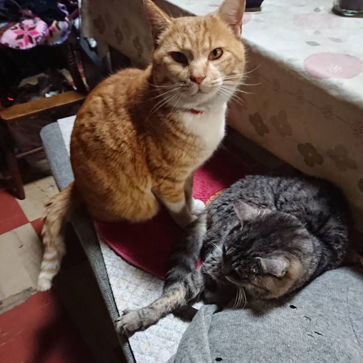 30ffcd50 de3d 4549 8b76 21a89f8c3484 1576925169412