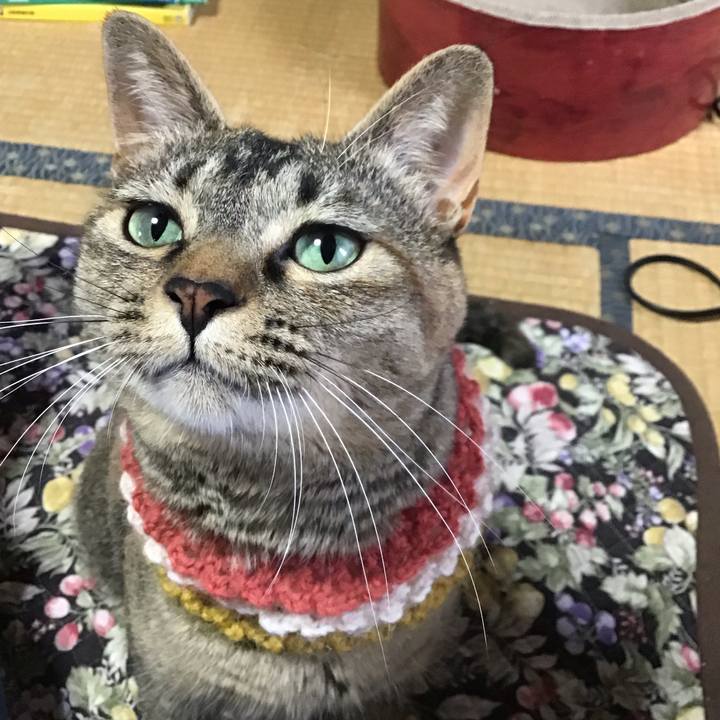 31000012 3b3b 4603 873b 6807b6e27a6a 1623570671415