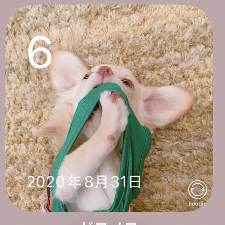 31000cd4 f7db 4a02 ae9f 16a82d8fdf06 1757160957624