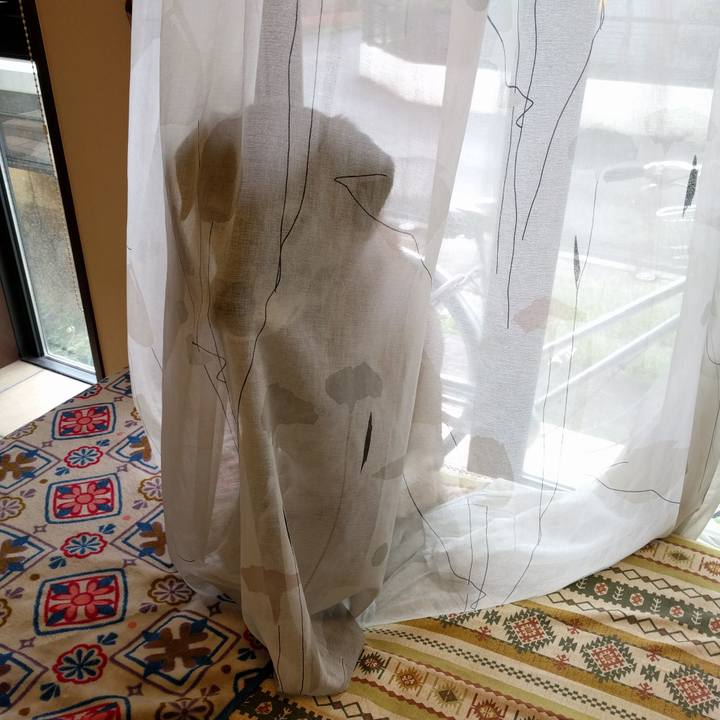 31003d06 4375 4bfa a639 04f72fa4e36f 1539482529596