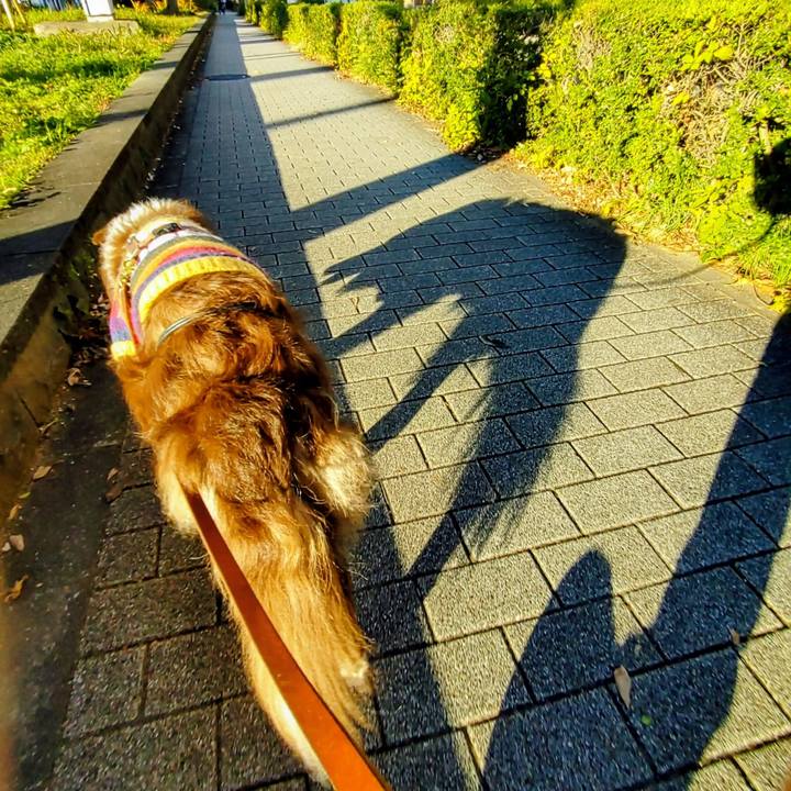 31005352 bae3 44fa b02f d6d8c38f6940 1764145472571