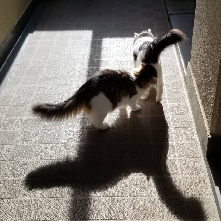 31006f15 74fa 4bfd a7fb 4665b08f31f3 1564436850139