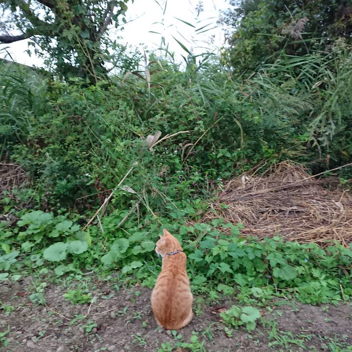 310072ce c641 4838 8d7c 527b4adf053f 1569707246718