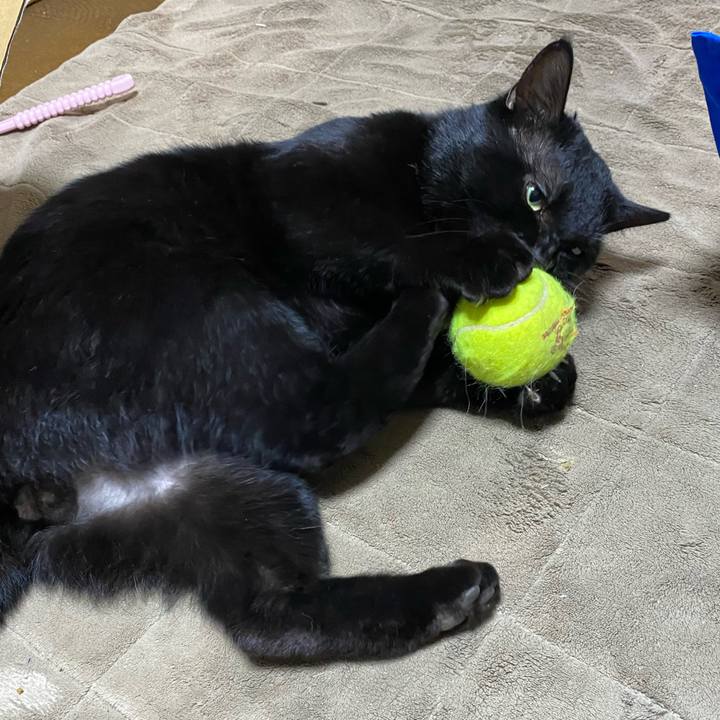 31007bc4 bda2 4a71 b28b c72fb277556d 1608817966203