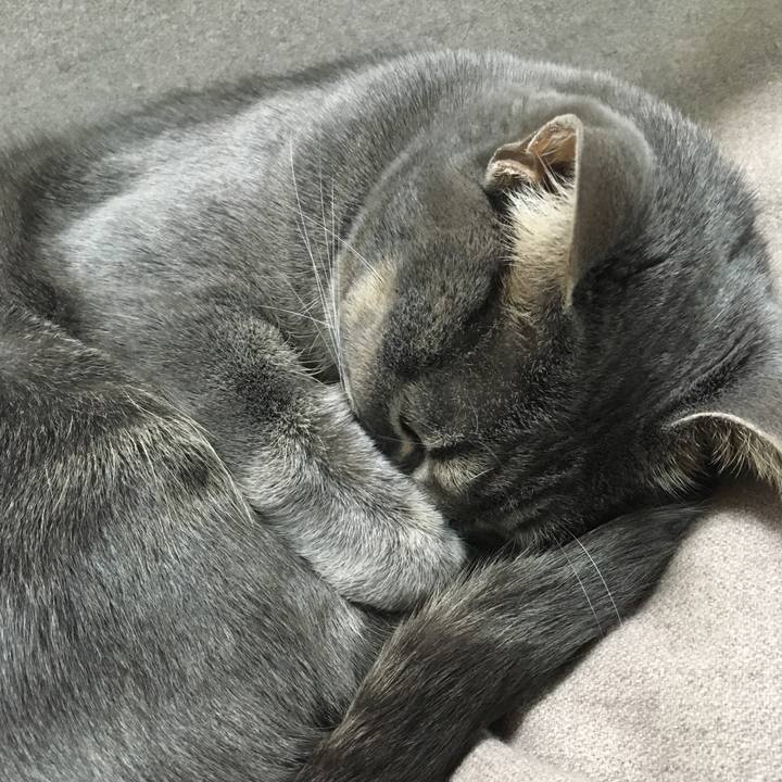 31008304 46db 482e 98a6 1dcc7cf0a0c8 1548596426014