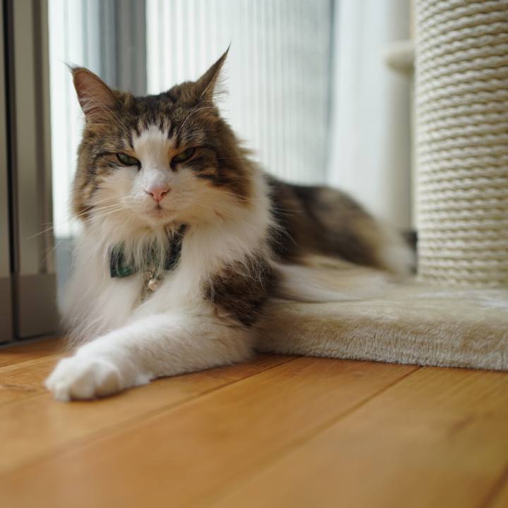 31011a93 ce3f 4728 b943 ef3823568c46 1624525435230