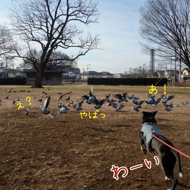 3101e3b9 0363 4ba8 8fc5 1c1c3c06b550 1707959580400