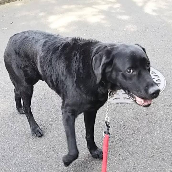 310222ec 1afc 47c3 a593 43573e69dd82 1691807553442