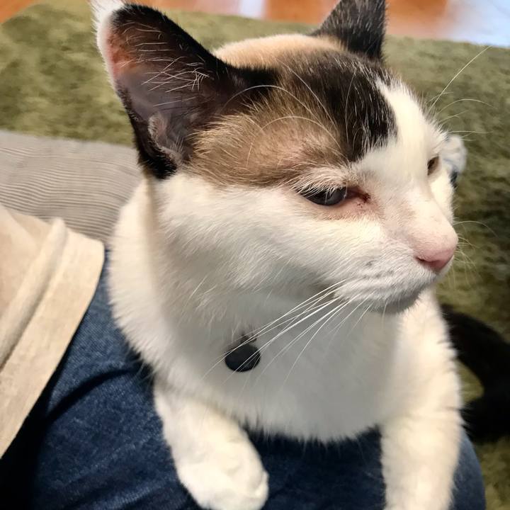 31022551 1b93 4158 91a4 6d6ea238395e 1626607810678