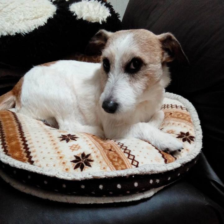 3102629d 33d9 4511 aba1 f3af9a700037 1585141038110