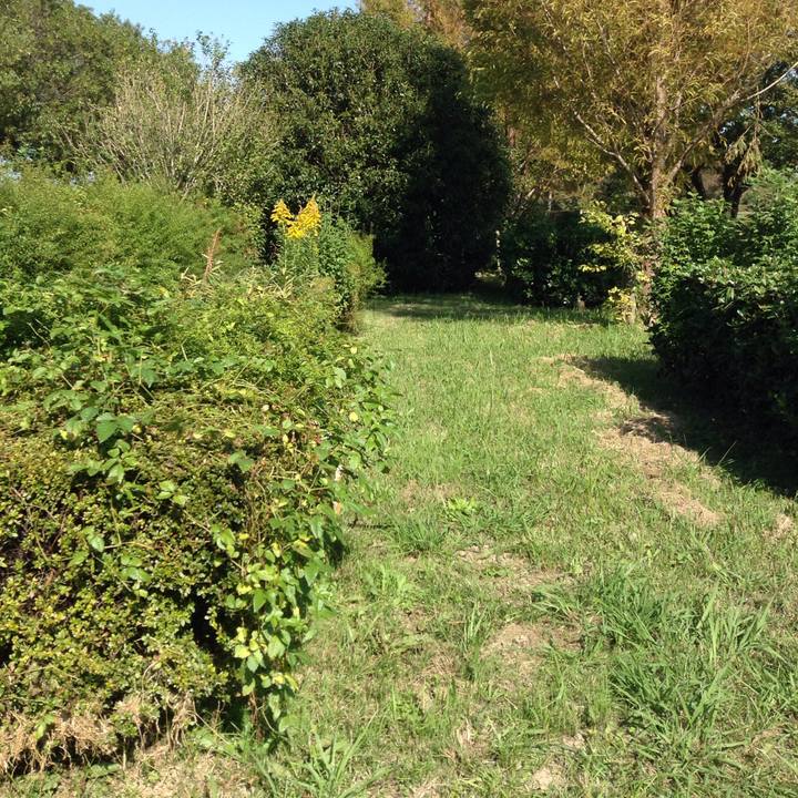 3102a762 b870 48e9 843d 3e987ebcf1fe 1540552961694