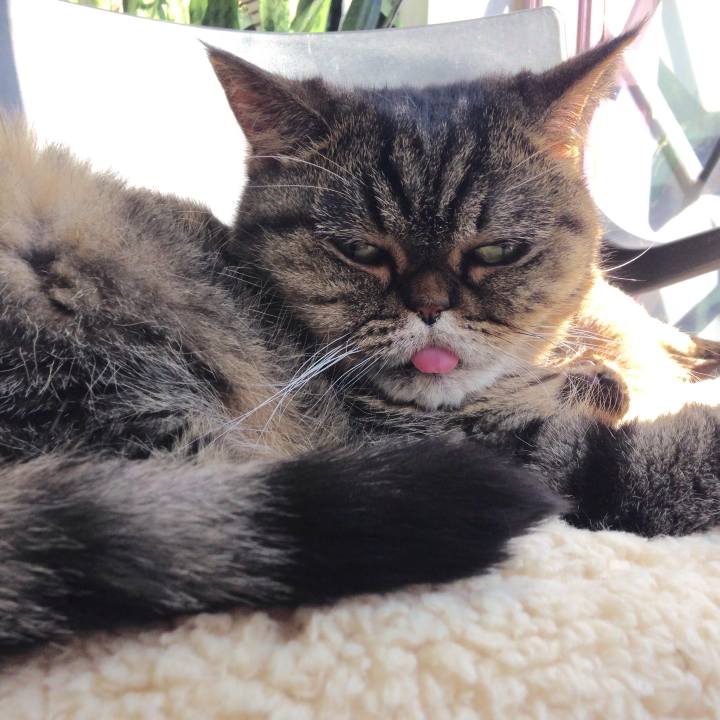 3102c2da e356 495b b9dc cdcf1b034d0d 1510448959777