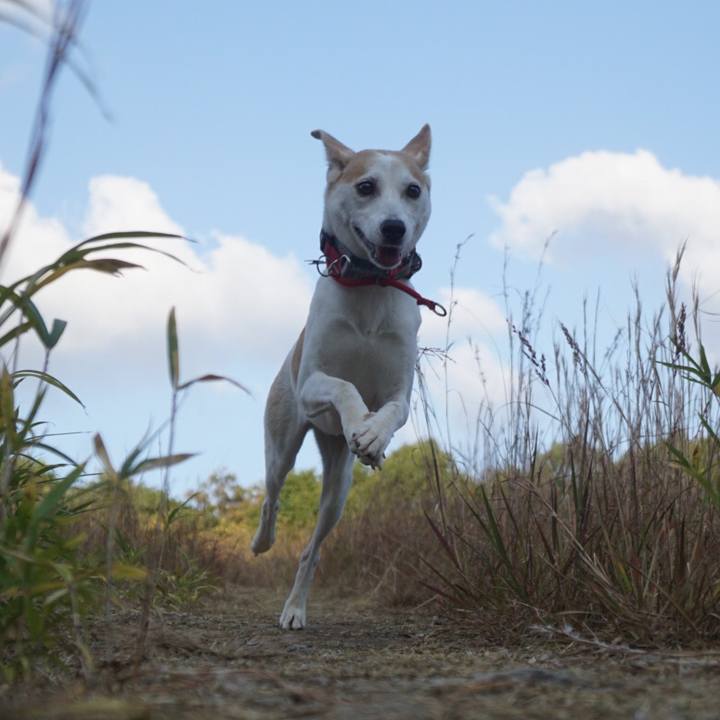 3102d498 82ea 4faa a7cf 9606ba49c200 1607056571416