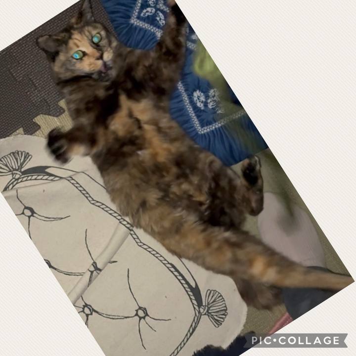 3102da4e 0ea9 4430 a1cc 4dd0bfbbcb39 1745093130523