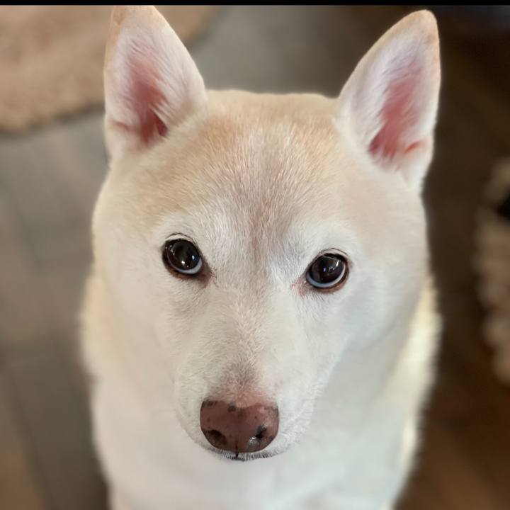 31030119 92e7 45e9 bc88 40ef0ee6393c 1634211163727