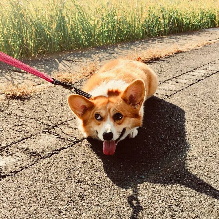 3103878d 69fc 4d65 b44b 56768227b1f8 1510293475312