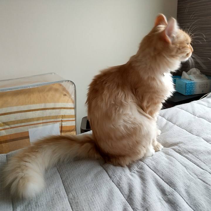 3103b3cf 1a60 4070 b3c5 1d4432773b31 1621823326684