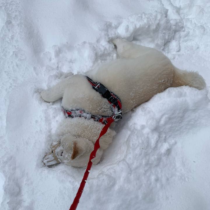 3103bbd2 58d0 4500 ac9b 7dc4b9b2af2d 1609203425191