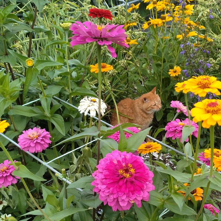 3103d5ff 5ce6 472f 99b9 90200fb7390b 1721381571938