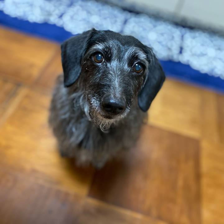 3103f508 220a 45df 8528 3087676ad66b 1621466207207