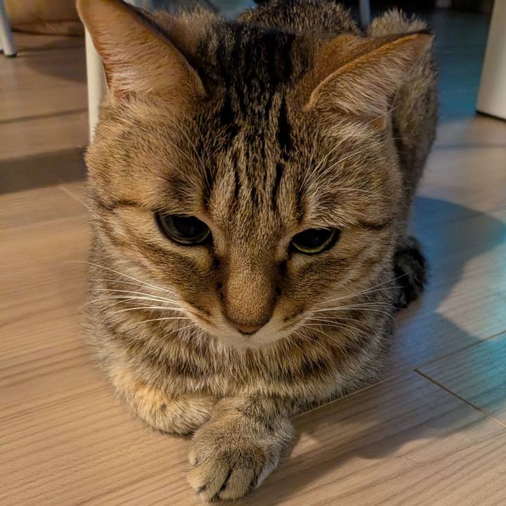 310429e1 d587 494c baac f00e4dc7b482 1770401389309