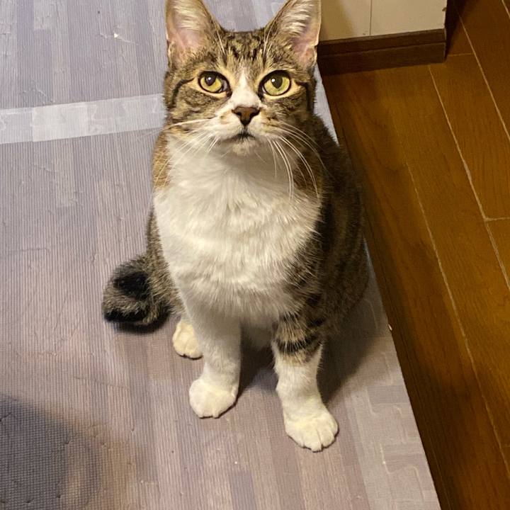 31046929 80cb 42d6 a370 ba60463695db 1618915831167