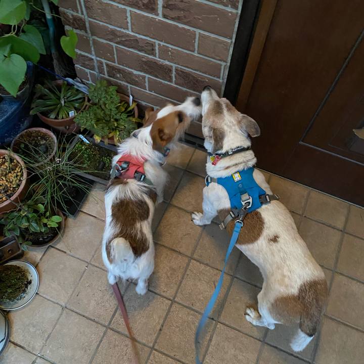 31046a07 8961 4aa0 ad8b e1e5703c6049 1702420223804